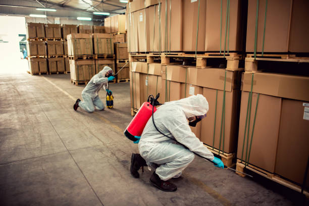 Reliable Spearville, KS Pest Control Solutions