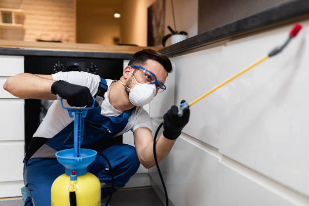 Best Exterminator Services  in Spearville, KS