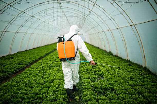 Best Pest Removal Services  in Spearville, KS