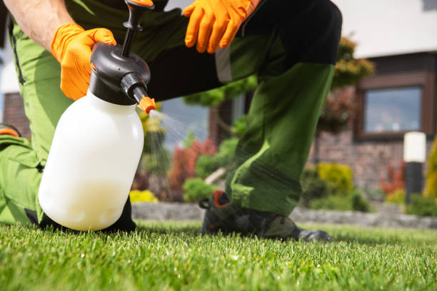 Best Emergency Pest Control  in Spearville, KS
