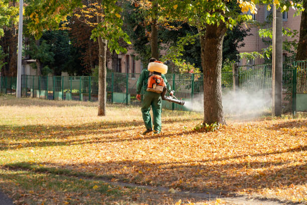 Best Wildlife Control Services  in Spearville, KS