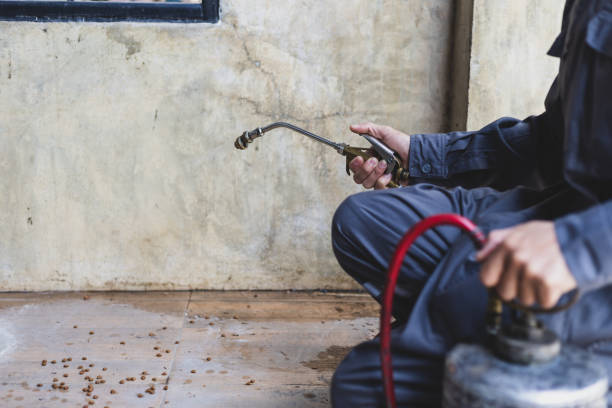 Best Affordable Pest Control Services  in Spearville, KS